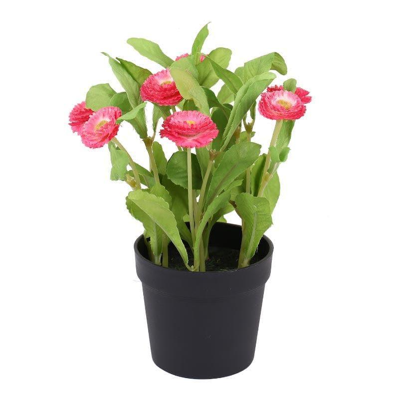 Faux Daisy Bonsai In Black Plastic Pot (25 cms) - Pink media 4