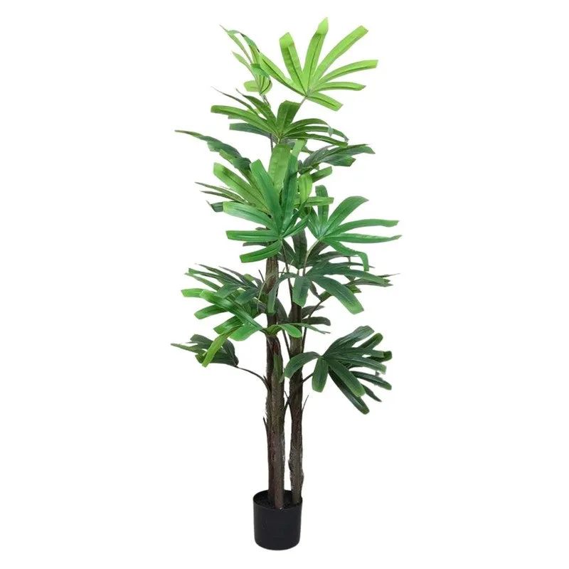 Artificial Rhapis Palm Plant Without Pot - 4.9 Feet media 6