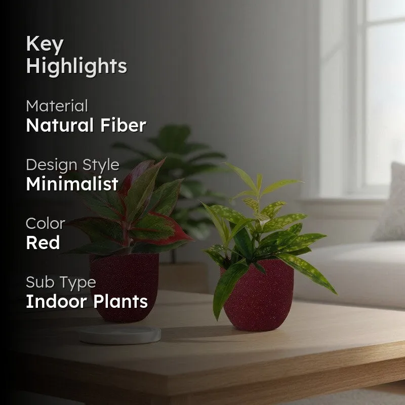 Greenkin Aglaonema Lipstick & Bamboo Live Plants (Red) - Set Of Two media 2