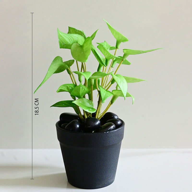 Moniva Artificial Pothos/Money Plant With Black Plastic Pot (Light Green) - 19 cm media 7