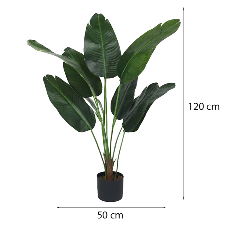 Faux Lush Bird of Paradise Plant With Black Plastic Pot (Dark Green) - 4 Feet media 7