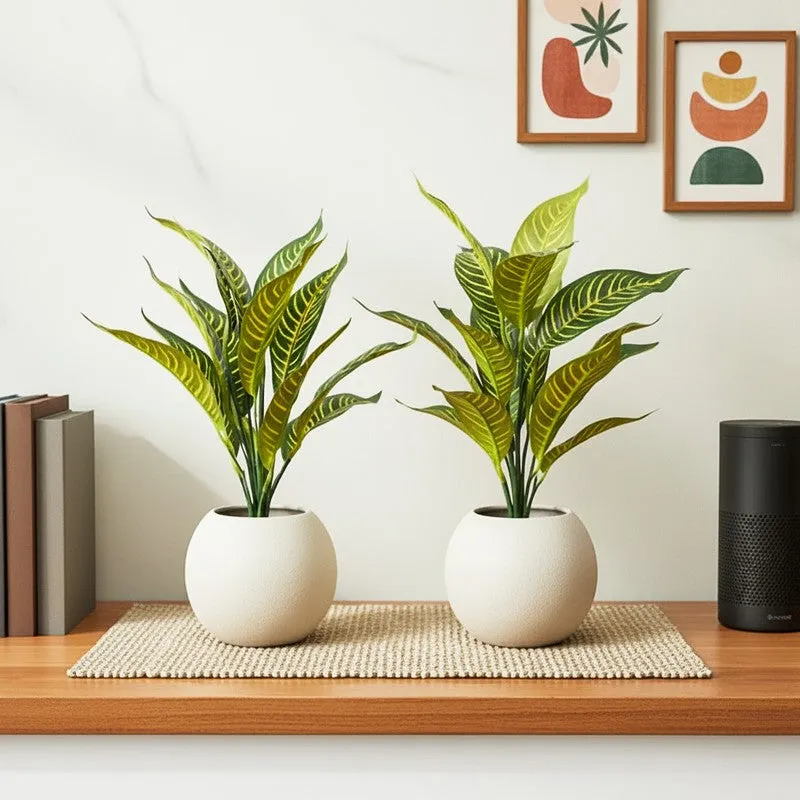 Faux Yellow Croton Plant With Black Plastic Pot (50 cms) - Set Of Two media 1