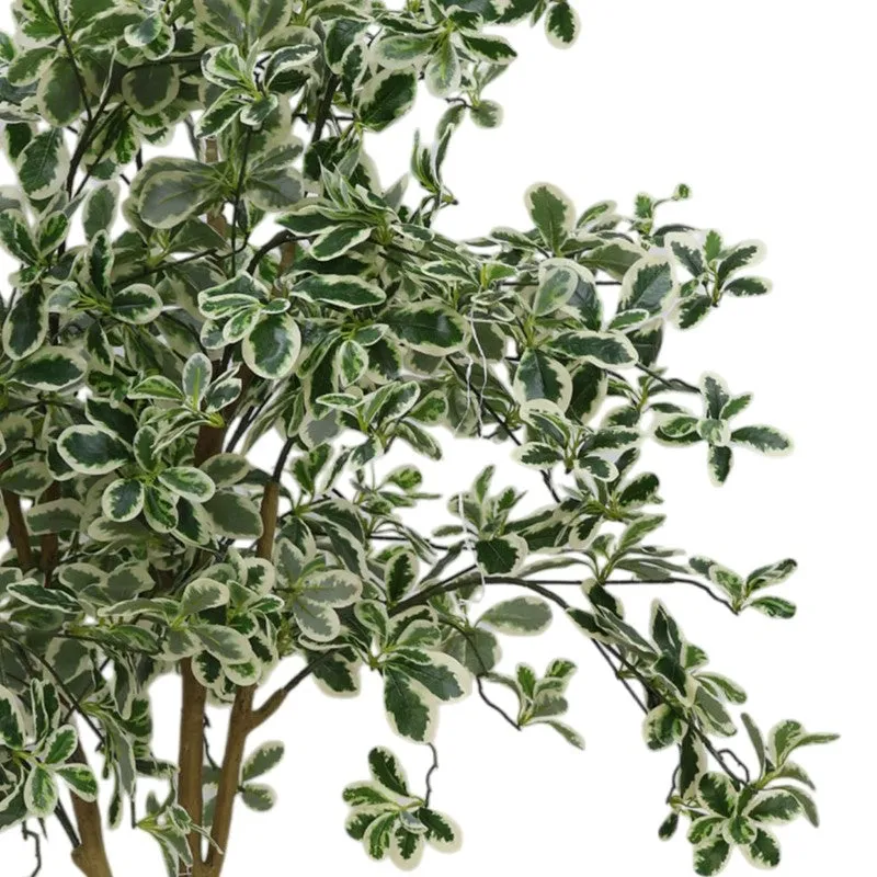 Plantara Artificial Baby Ficus Plant - 4.9 Feet media 5