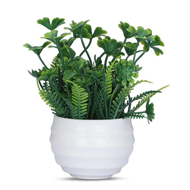 Eloise Artificial Plant With Black Plastic Pot - Set Of Three media 3