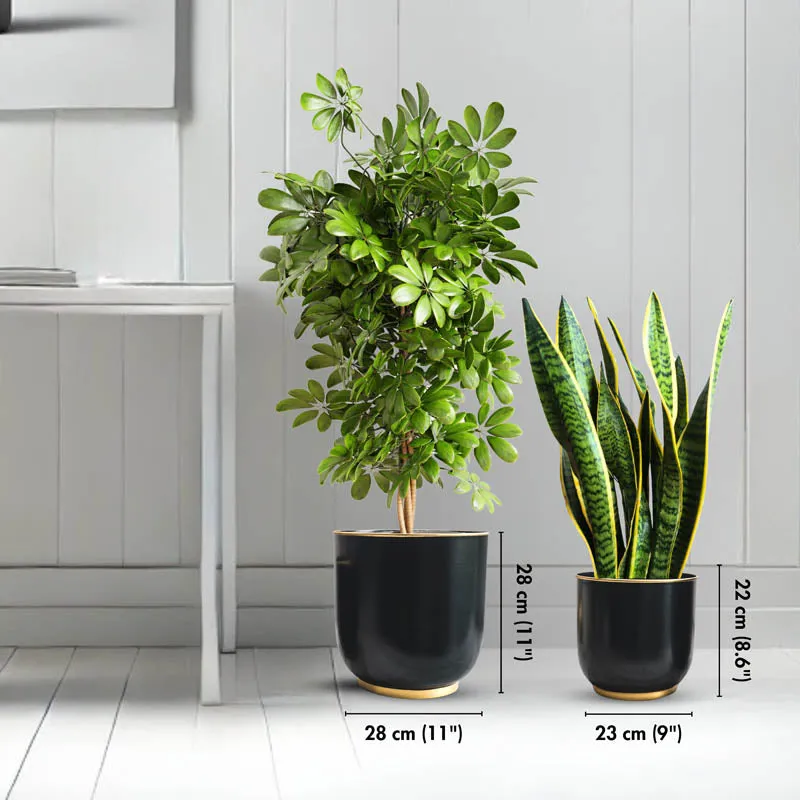 Raven Floor Planter - Set of Two media 4