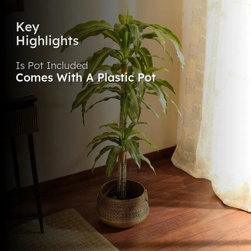 Artificial Realistic Dracaena Plant With Black Plastic Pot - 3.9 Feet media 2