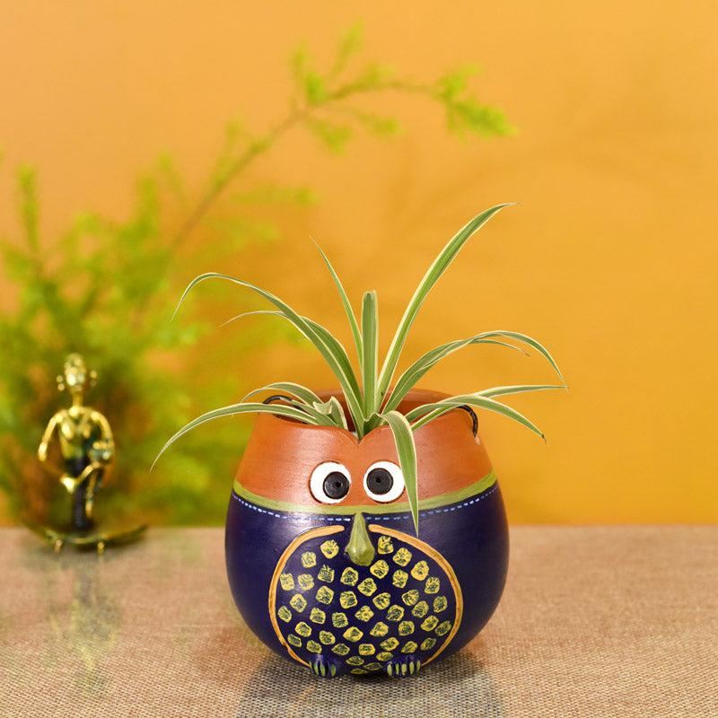 Terracotta