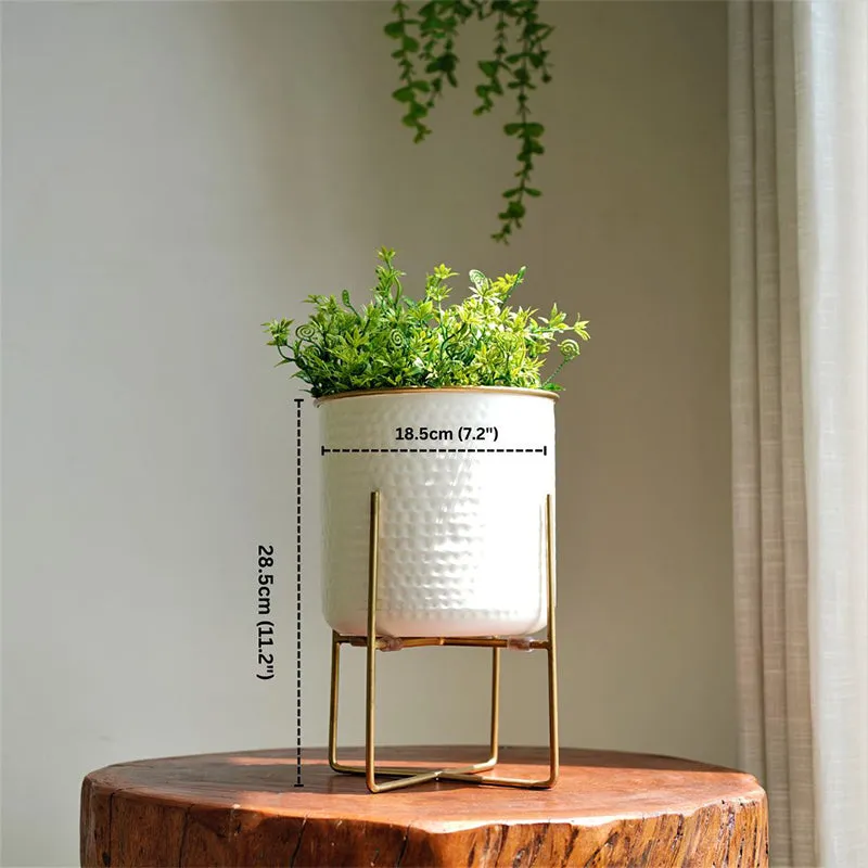 Rhaella Iron Planter - Big media 6
