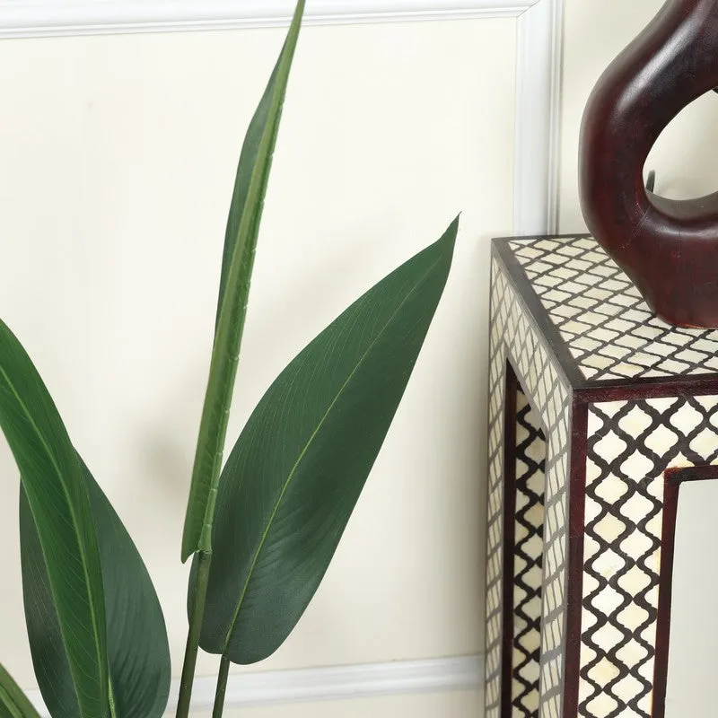 EverFresh Banana Plant With Black Fiber Pot - 3.6 Feet media 5