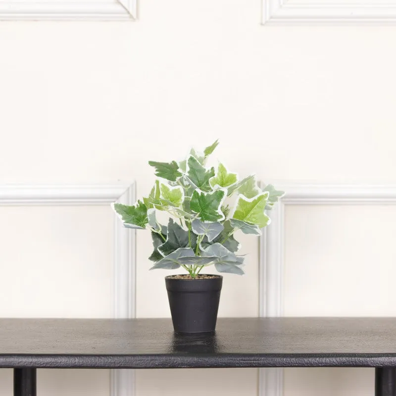 Artificial White Ivy Plant With Black Fiber Pot - 0.9 Feet media 3