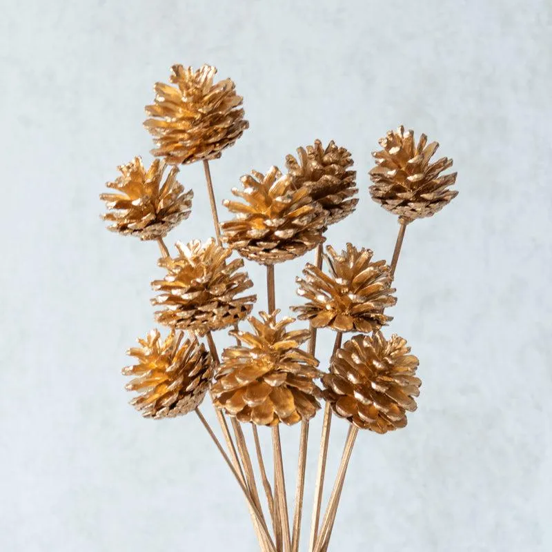 Enoira Dried Pine Cone Stick (Gold) -Set Of Ten media 4