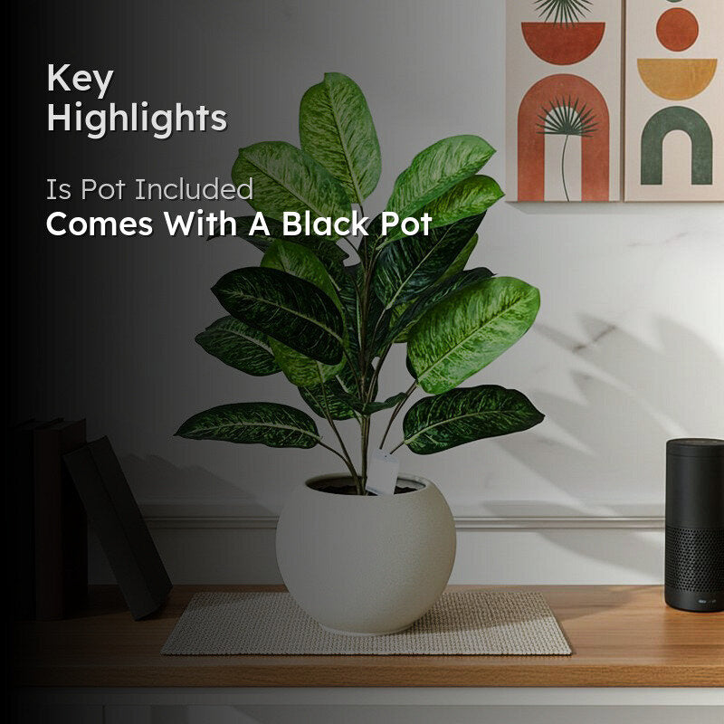 Faux Fiddle Fig Plant With Black Plastic Pot - 79 cm (2.6 ft) media 2