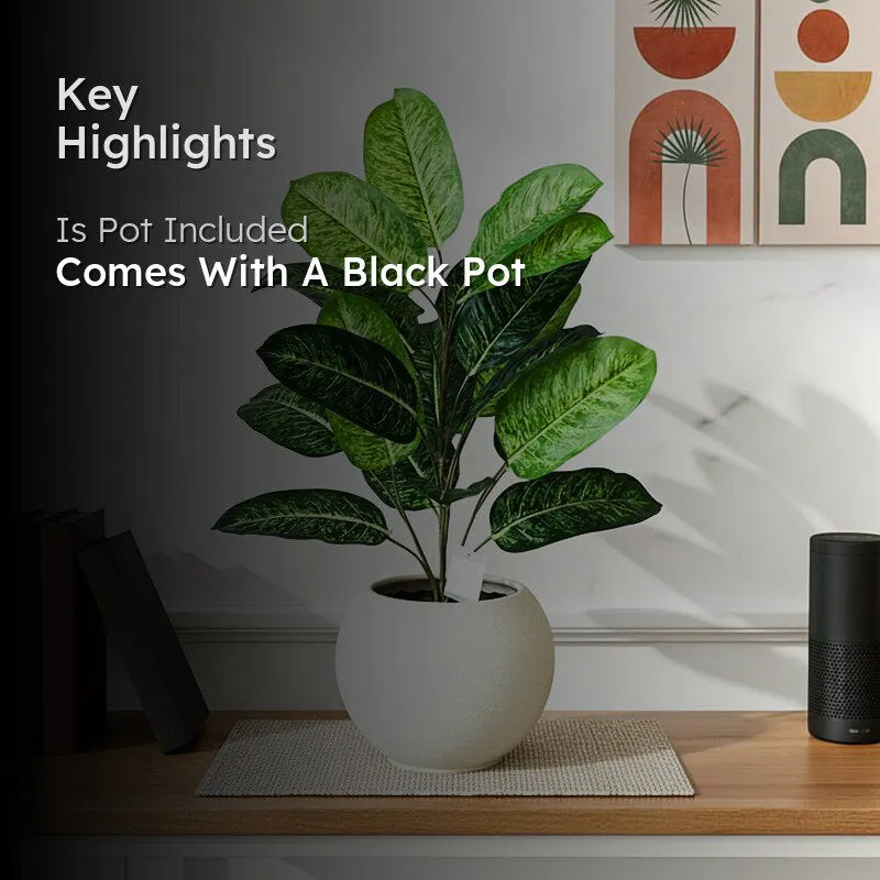 Faux Fiddle Fig Plant With Black Plastic Pot - 79 cm (2.6 ft) media 2
