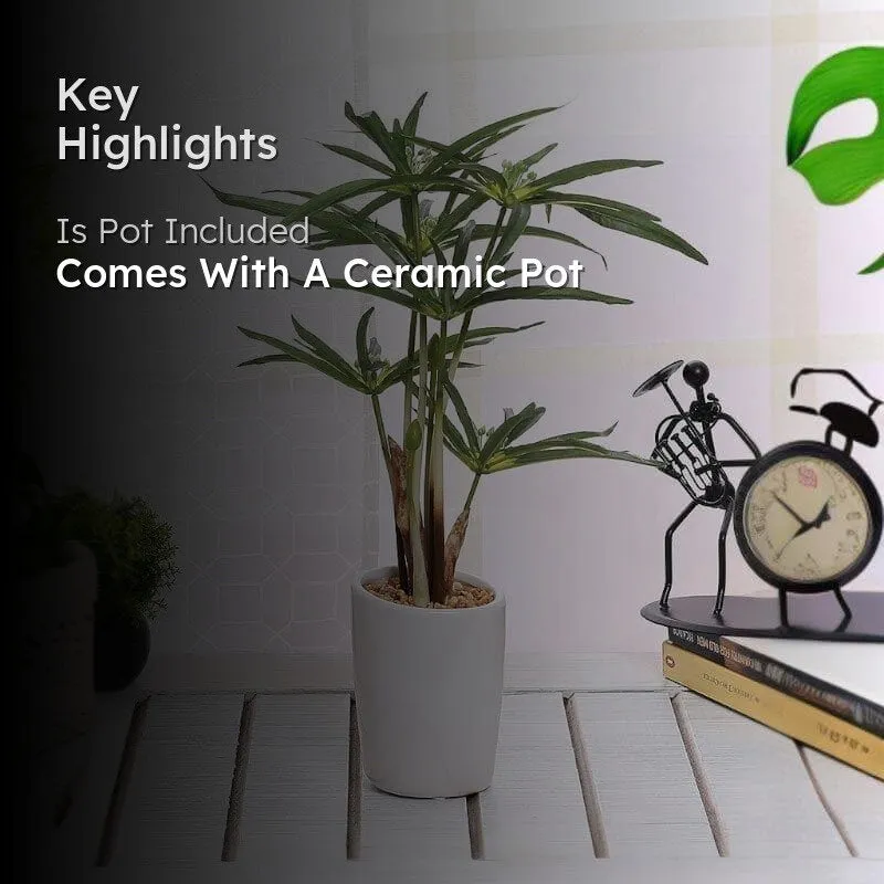 Faux Cyperus Bonsai In Ceramic Pot - 38 cms media 2
