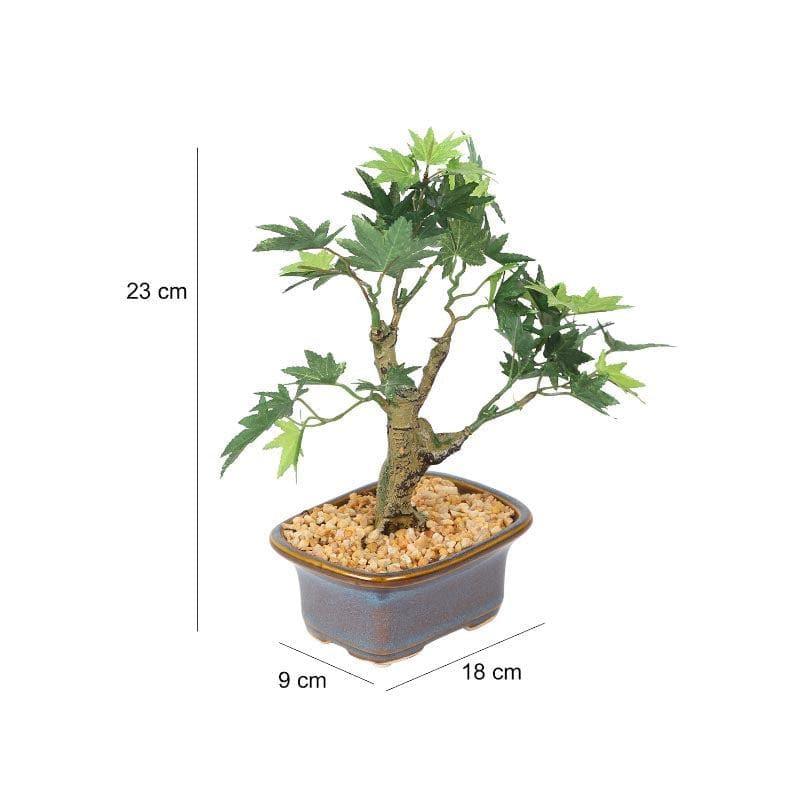 Faux Maple Bonsai In Tub Pot (23 cms) - Green media 4