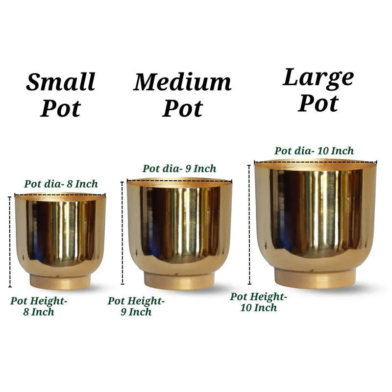 Nishma Golden Planter - Set Of Three media 9