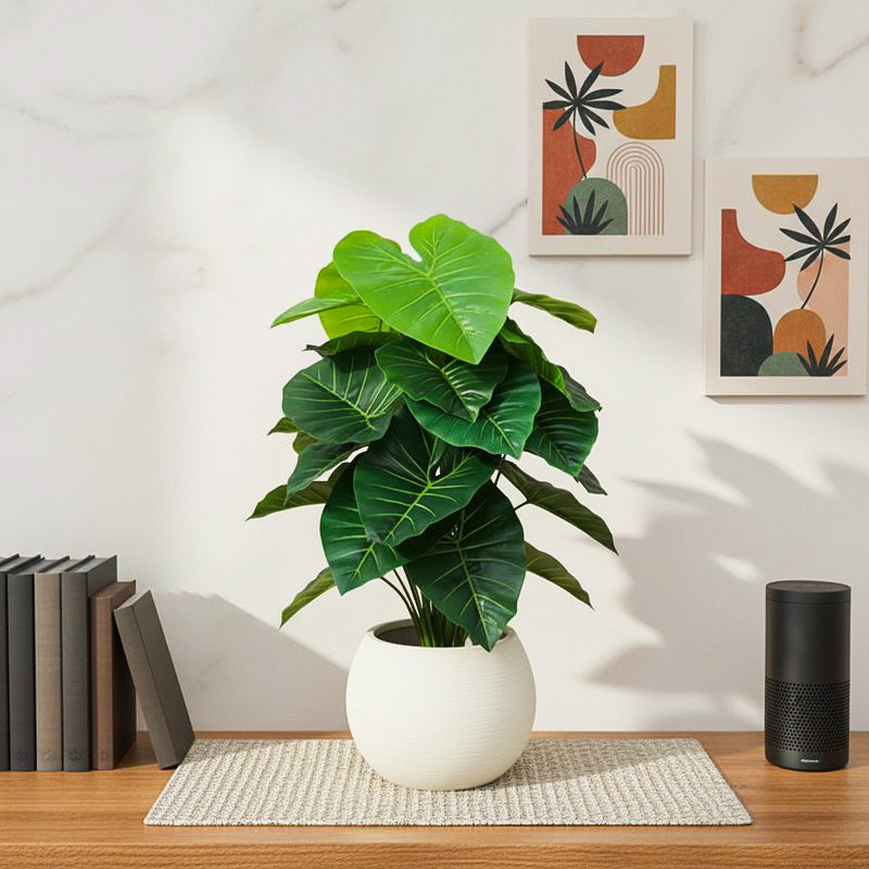 Leafend Artificial Rubber Plant With Black Plastic Pot - 2.6 Feet
