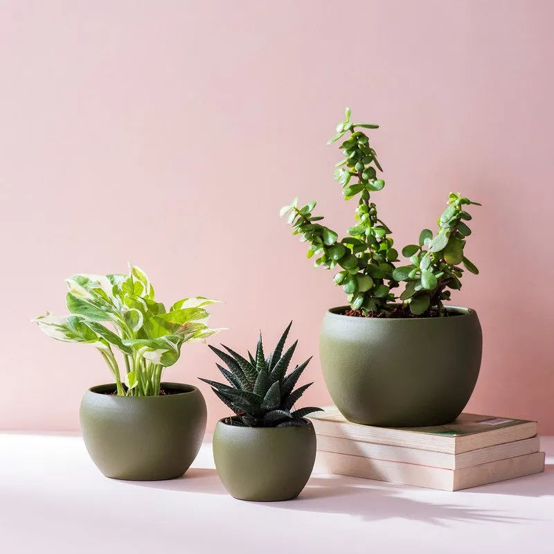 LeafNest Mild Steel Planter (Brown) - Set Of Three media 5
