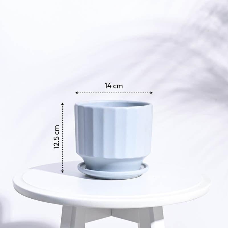 Lexie Ceramic Planter - Blue media 6