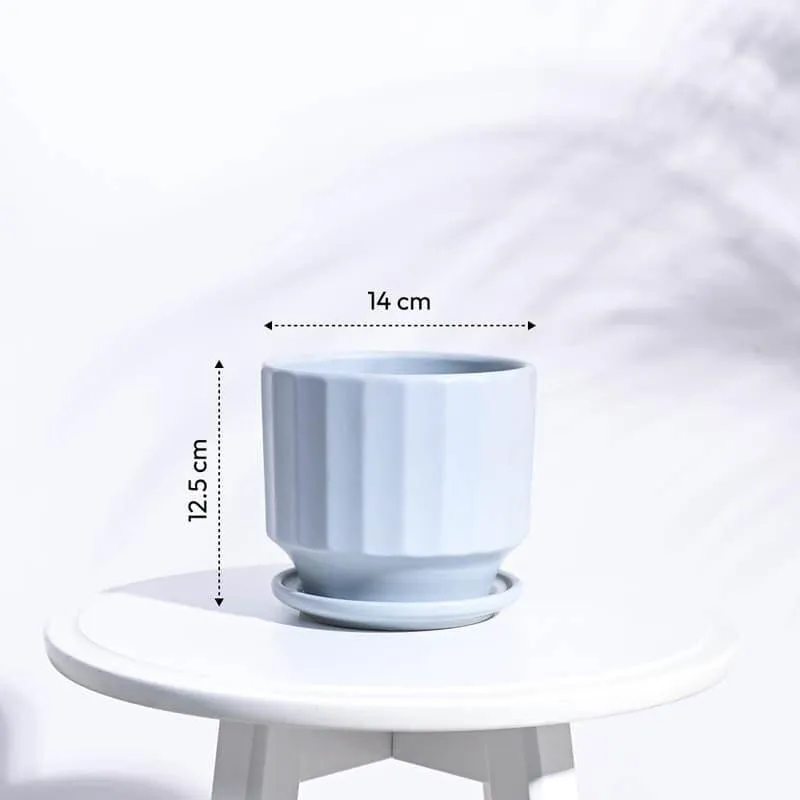 Lexie Ceramic Planter - Blue media 6