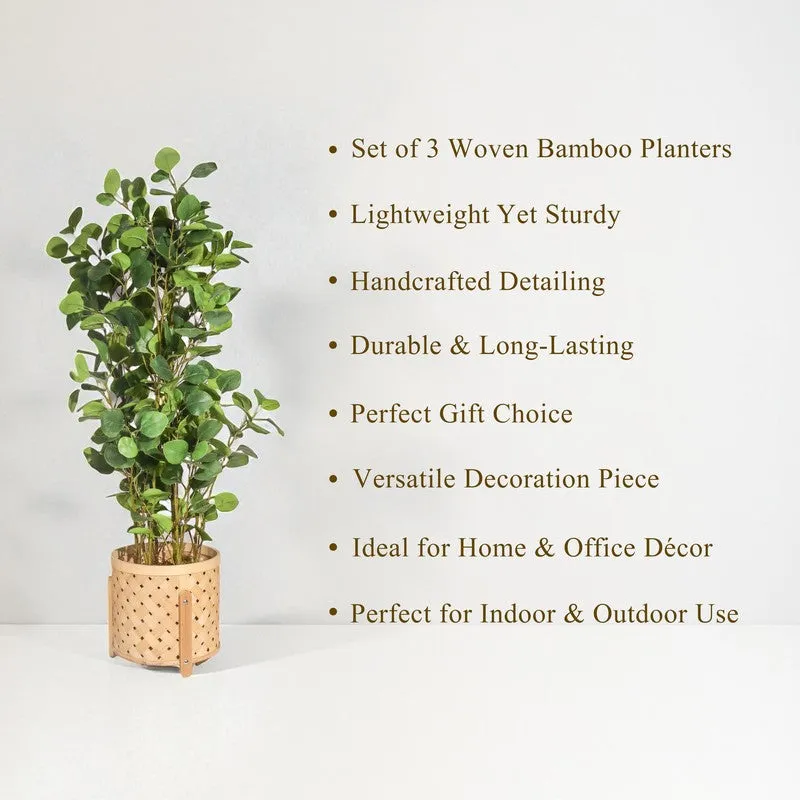 EarthAura Bamboo Planters - Set Of Three media 5