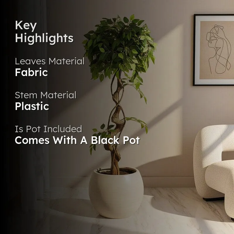 Artificial Realistic Ficus Bonsai With Black Plastic Pot - 3.9 Feet media 2
