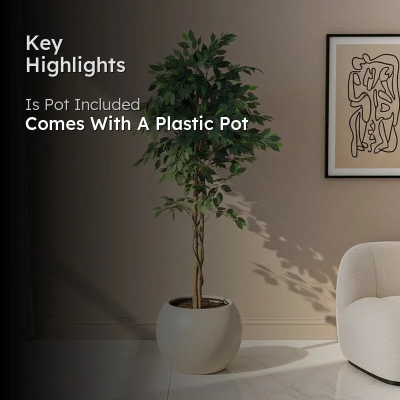 Jadelle Artificial Ficus With Black Plastic Pot - 6 Feet media 2