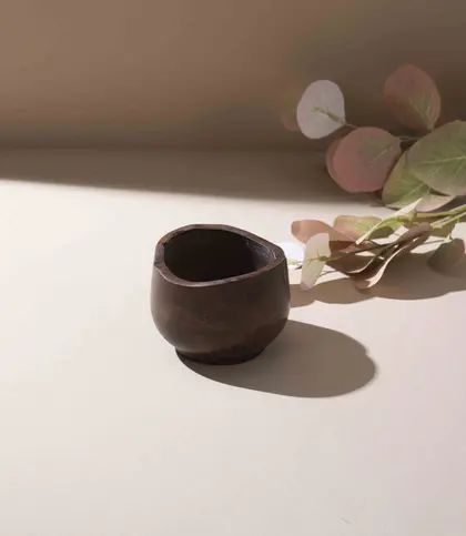 Mango Wood