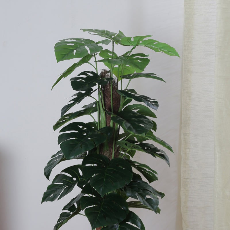 Faux Pola Monstera Plant With Black Plastic Pot - 2.95 ft media 5