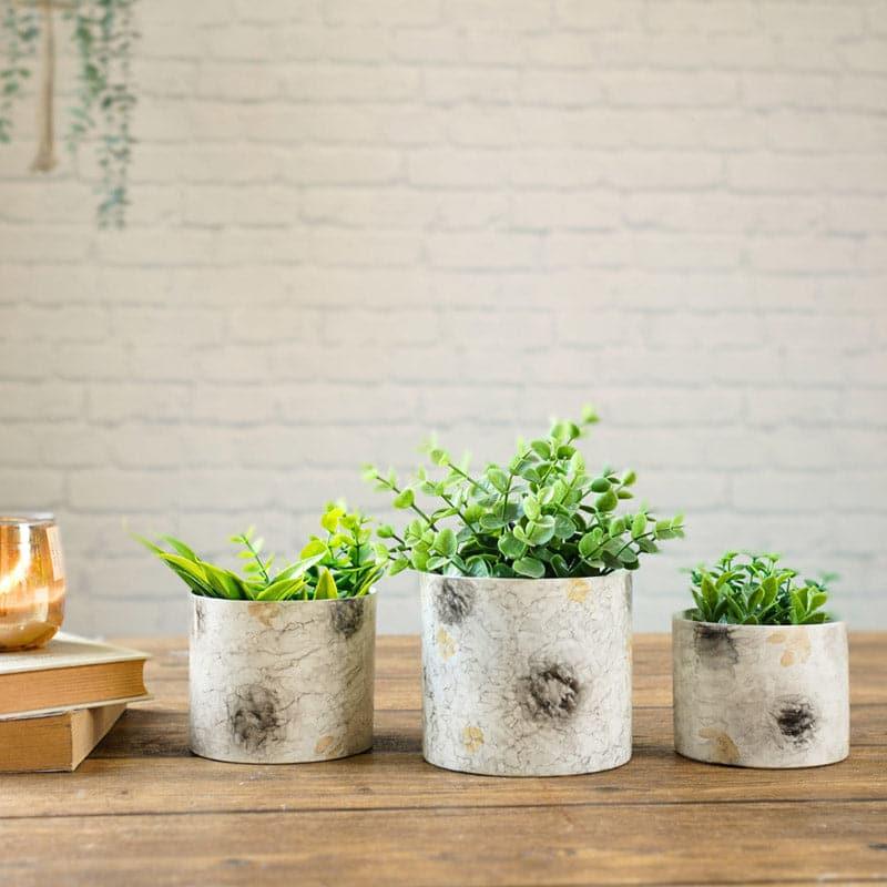 Play Punch Planter - Set Of Three media 3