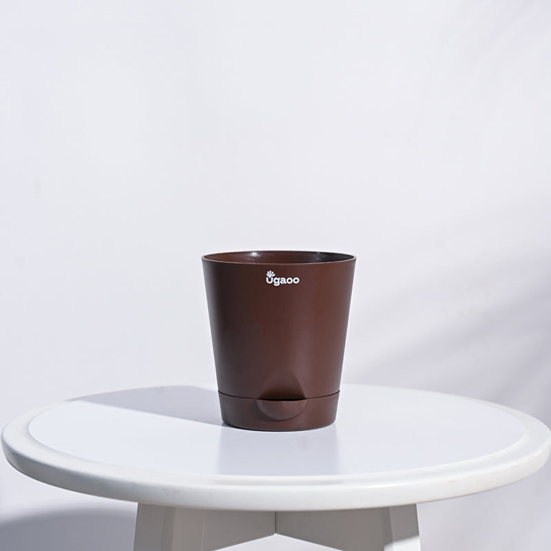 Ugaoo Bare Root Plastic Planter (Brown) - Set Of Five media 3