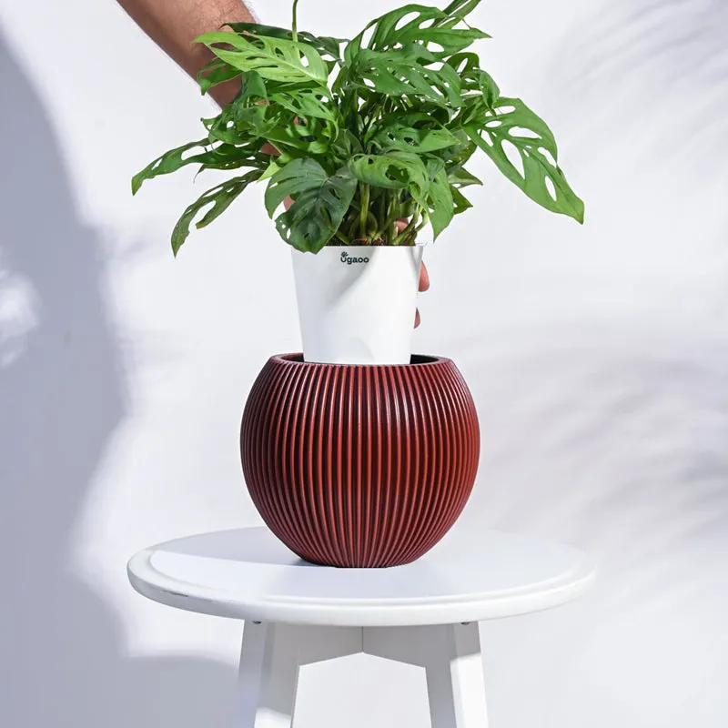 UGAOO Planter Vase Ball Groove - Merlot Red media 4