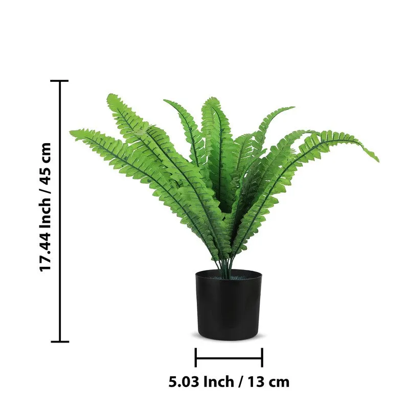 Fernex Artificial Plant With Plastic Pot - 1.5 Feet media 7