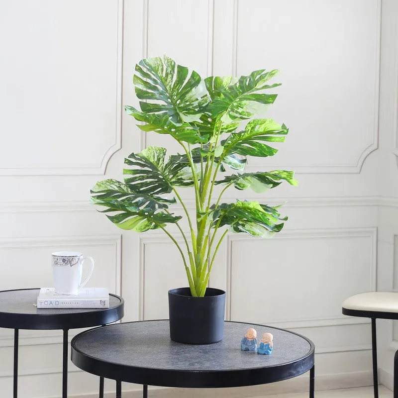 LeafScape Artificial Plant With Black Plastic Pot - 2.5 ft media 3