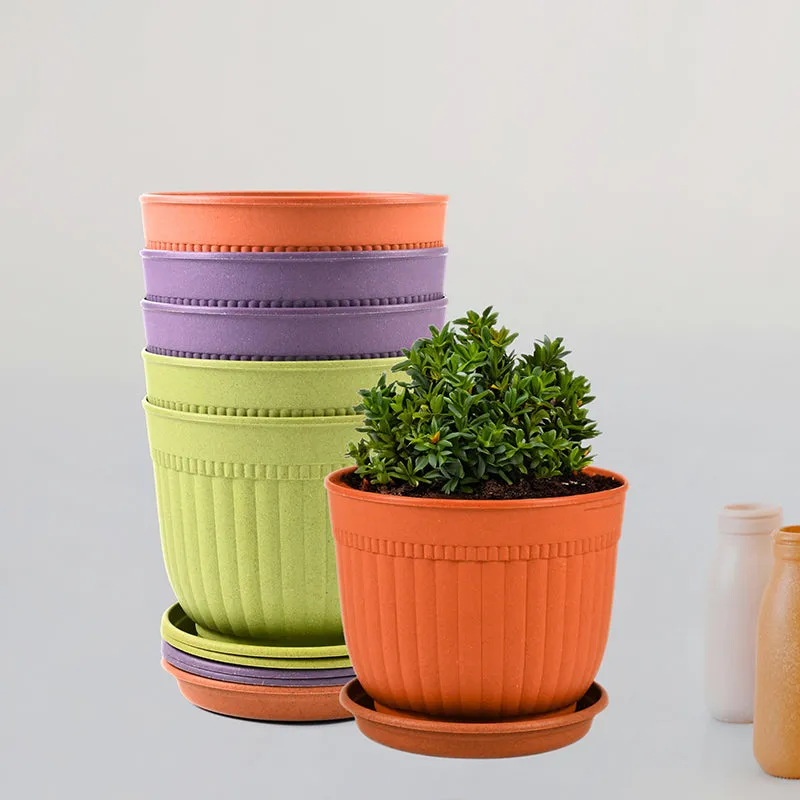 Vita Vessel Planter - Set Of Six media 2