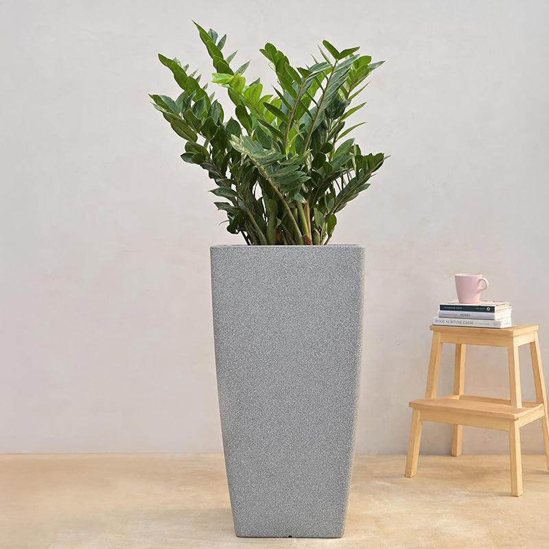 Ugaoo Lava Bloc Plastic Planter - Grey media 9