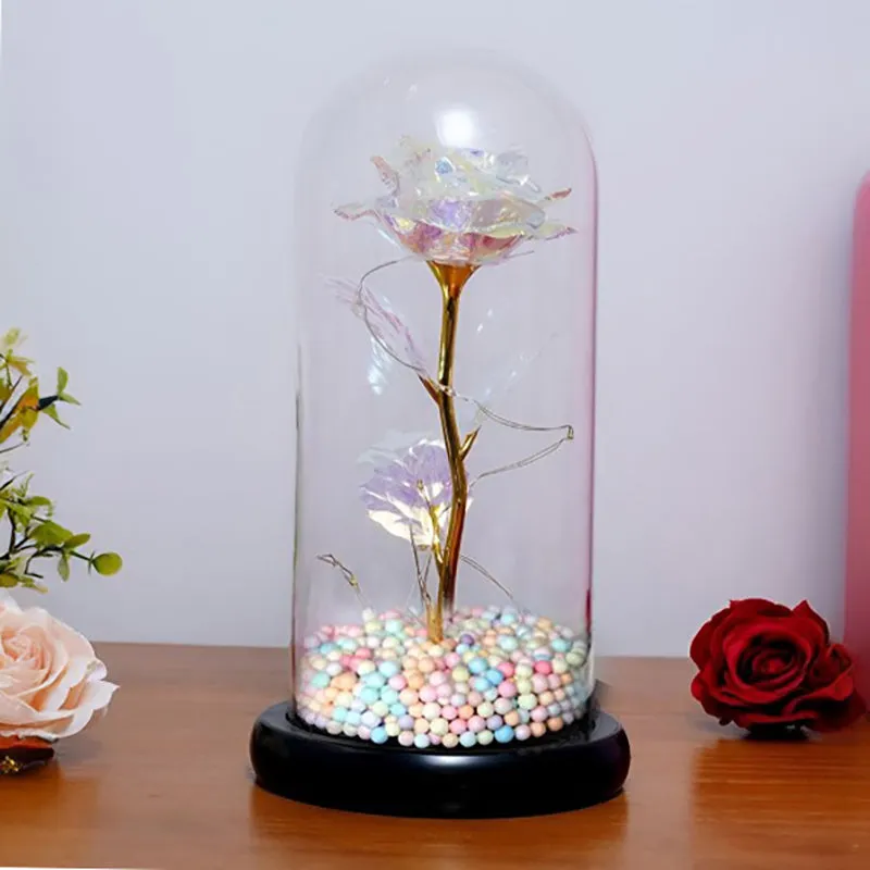 Infinite Bond Glass Domed Showpiece media 5