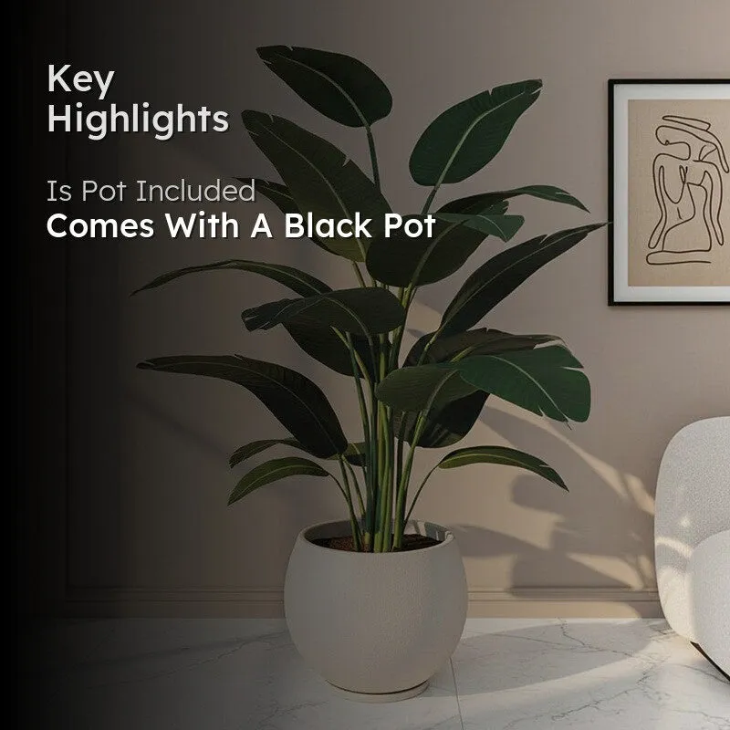 Faux Bird of Paradise Plant With Black Plastic Pot - 5 ft media 2