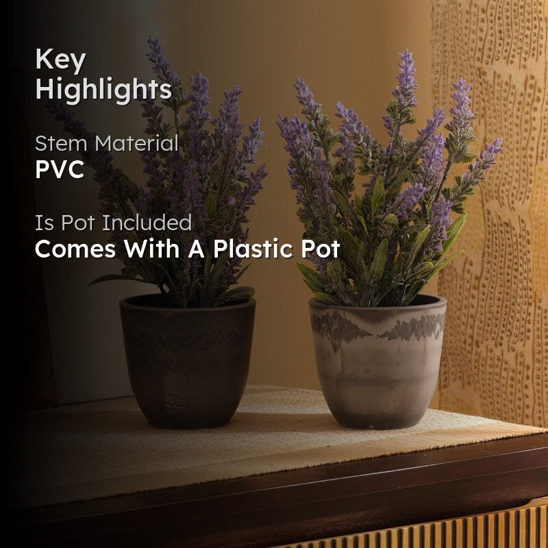 Artificial Purple Lavender Plant With Black Plastic Pot (Set Of Two) - 1 Feet media 2