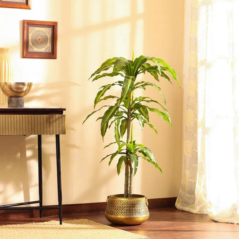 Artificial Realistic Dracaena Plant With Black Plastic Pot - 3.9 Feet media 5