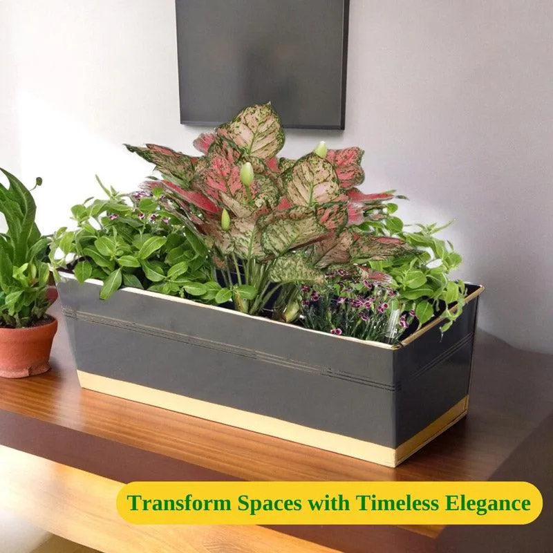 Zutoia Black Planter - Black media 7