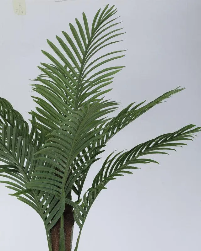 Faux Tall Feather Palm Plant With Black Plastic Pot - 6.56 ft media 4
