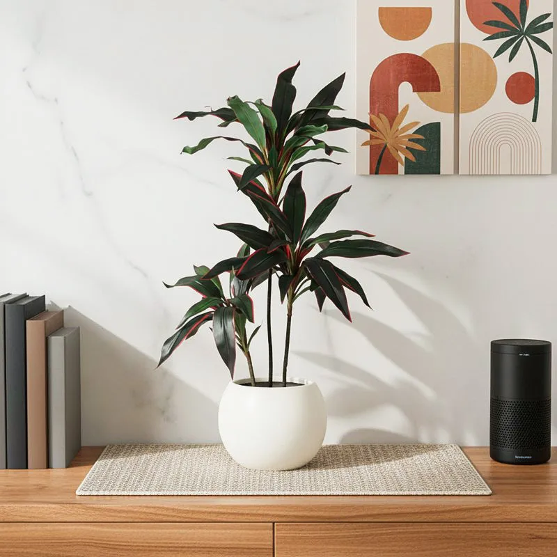 Faux Lush Dracaena Reflexa Plant With Black Plastic Pot - 3.1 Feet media 1