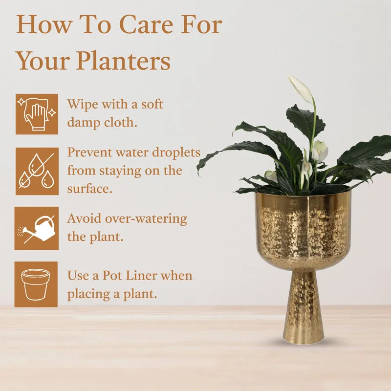 Textura Aureme Planter media 6