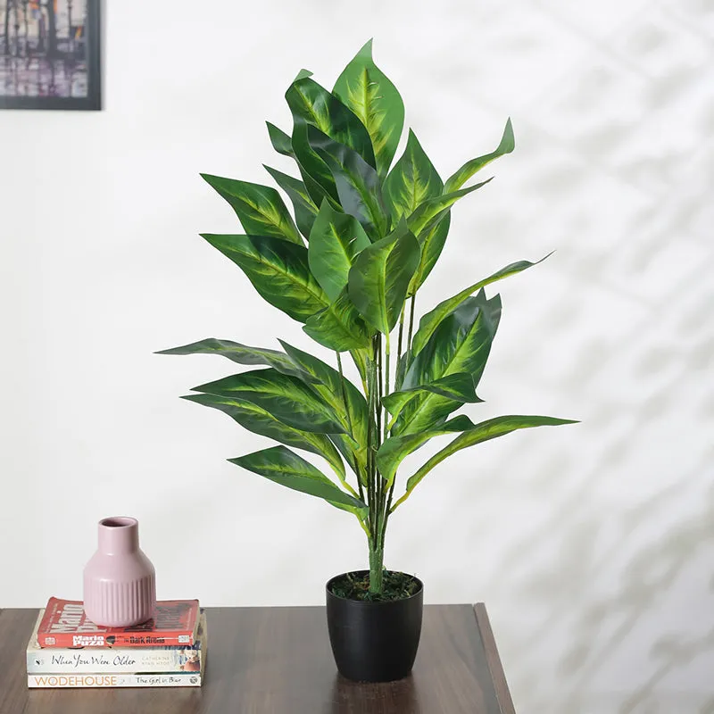 Faux Petra Corton Plant With Black Plastic Pot - 2.2 Feet media 3