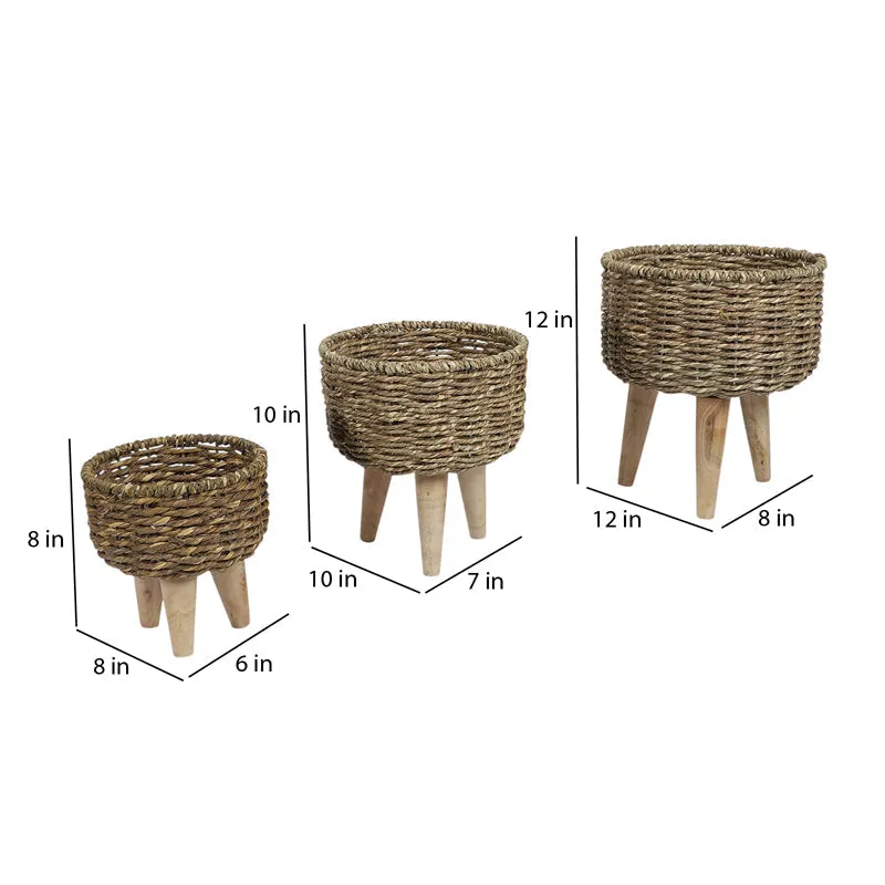 Wicker Grow Planter - Set Of Three media 7