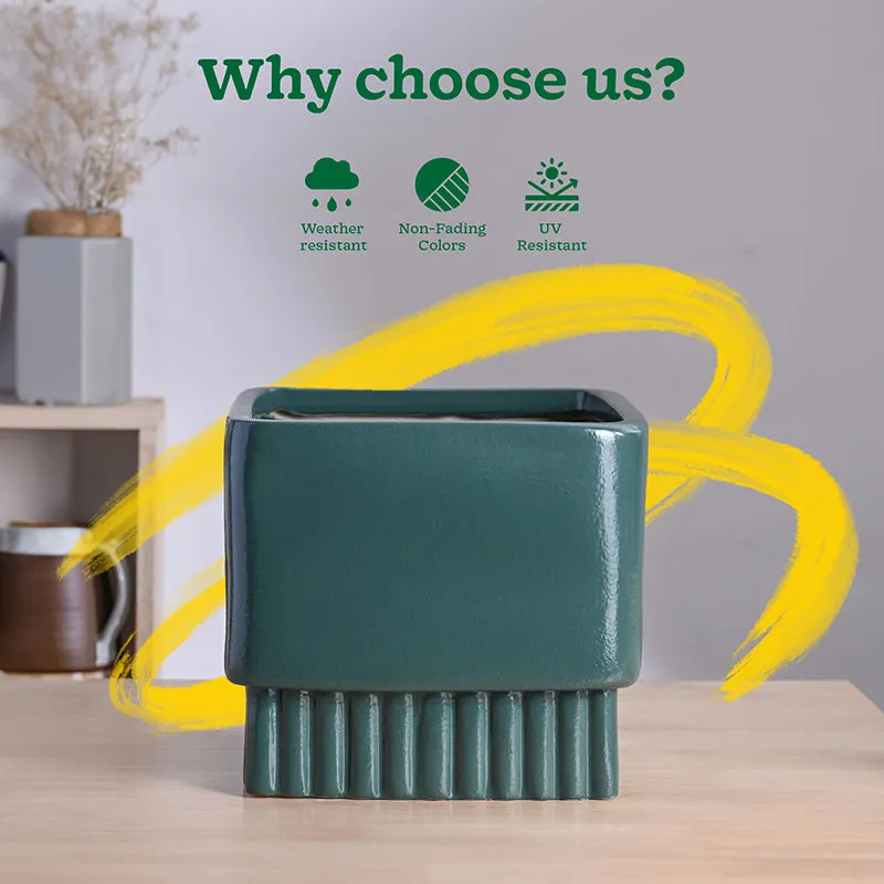 Ugaoo Sleepy Sprout Square Ceramic Planter - Green media 7