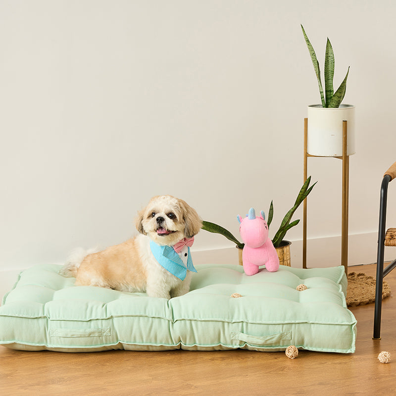 Pawdium Solid Cotton Floor Cushion - Sage Green