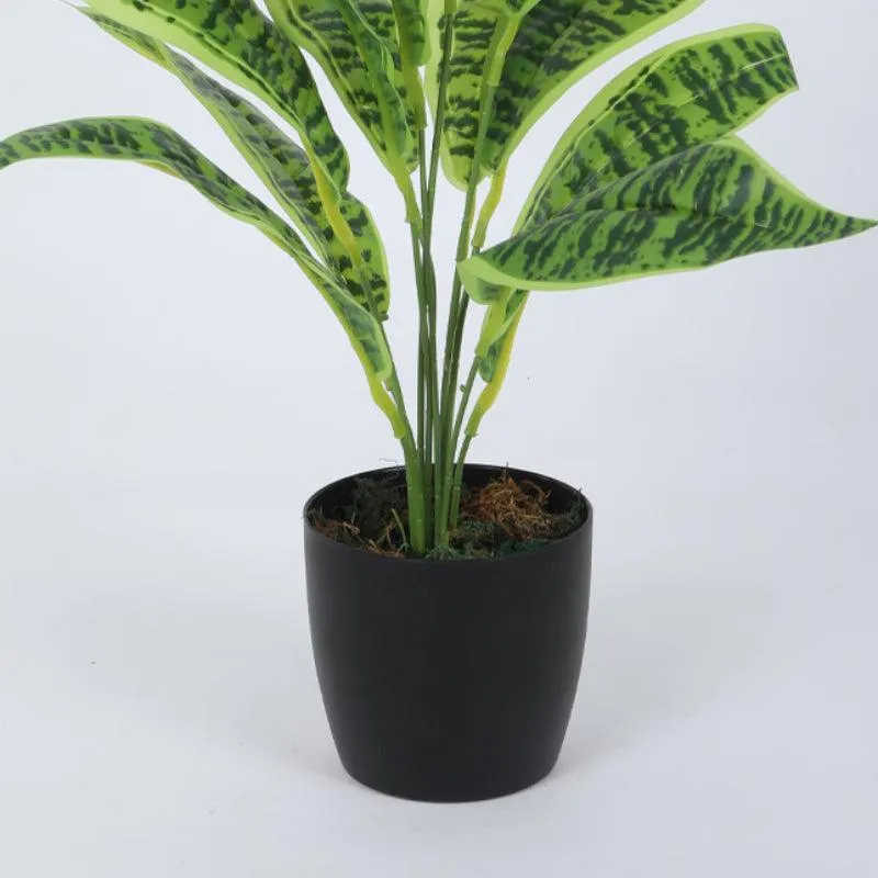Faux Snake Plant With Black Plastic Pot (50 cms) - Set Of Two media 5
