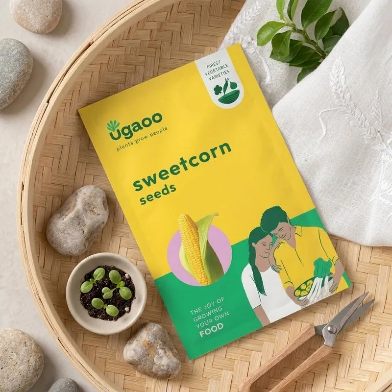Ugaoo Sweetcorn Seeds media 1